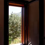 Vigneto *
