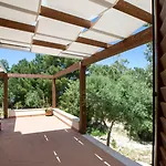 Vigneto