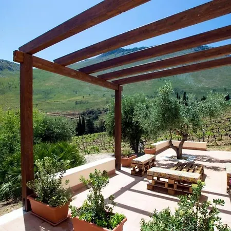 Vigneto